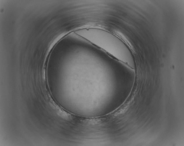 X0000074340900200608251348