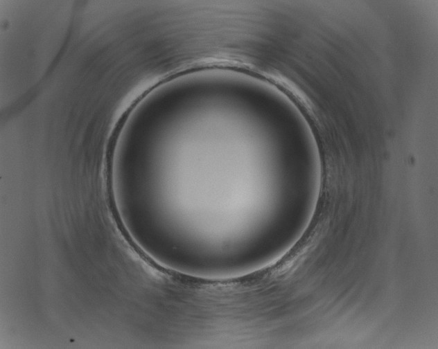 X0000074340902200608251348