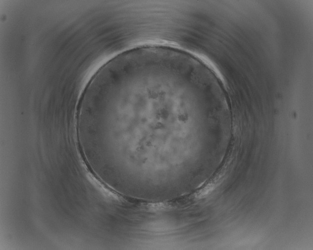 X0000074340903200608251348