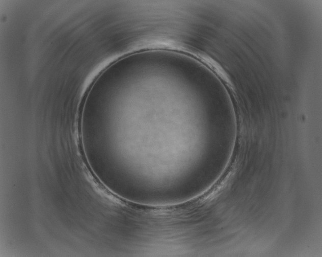 X0000074340904200608251348