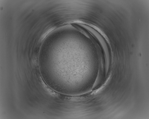 X0000074340905200608251348