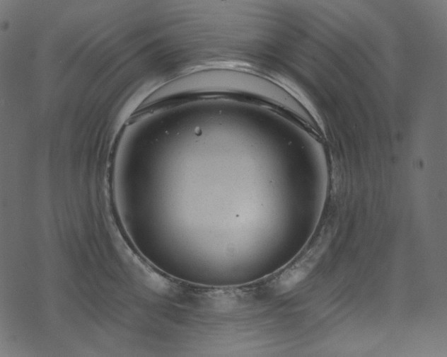 X0000074340906200608251348