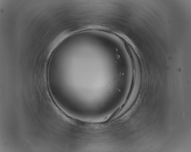 X0000074340910200608251348