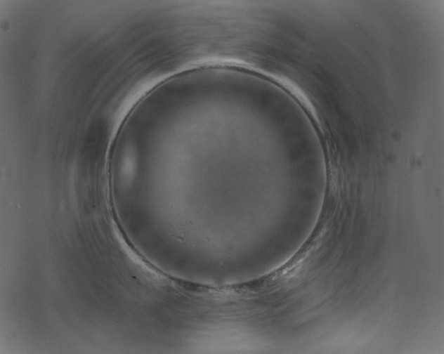 X0000074340911200608251348