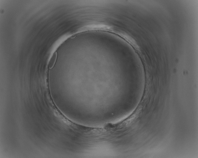 X0000074340912200608251348