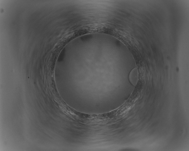 X0000074340913200608251347