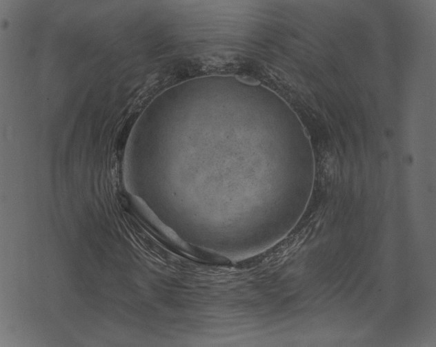 X0000074340914200608251347