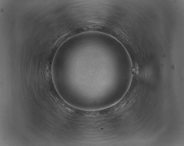 X0000074340915200608251347