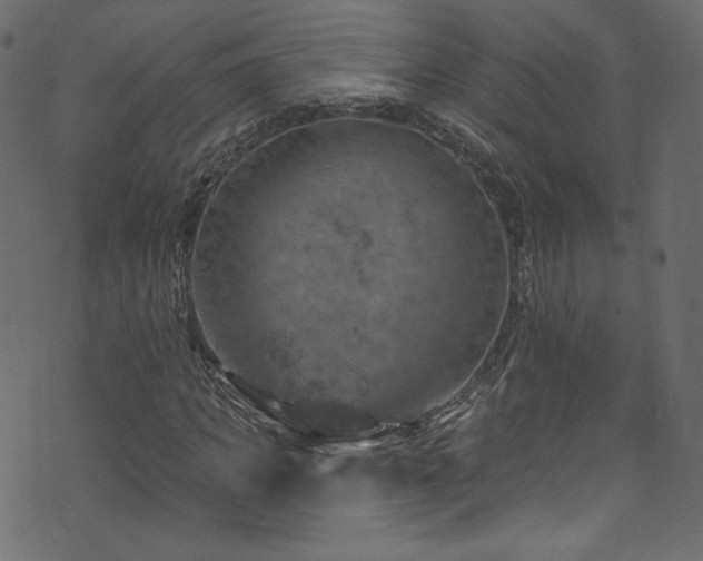 X0000074340917200608251347