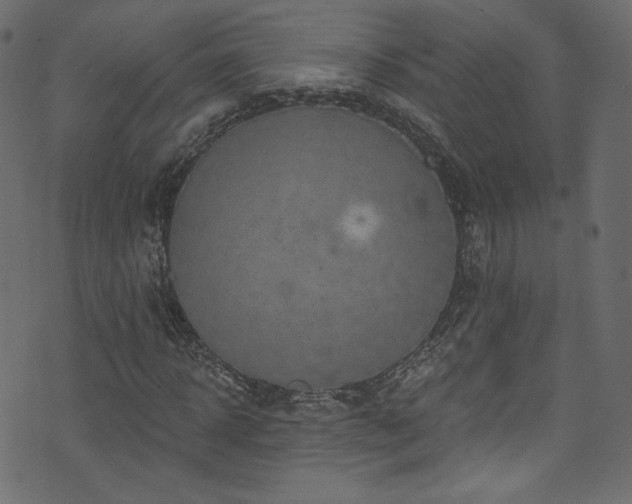 X0000074340918200608251347