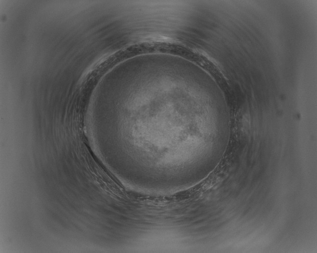 X0000074340919200608251347