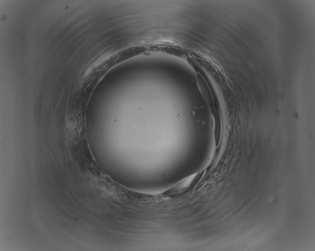 X0000074340920200608251347