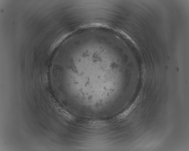 X0000074340921200608251347