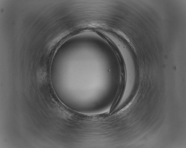 X0000074340922200608251347