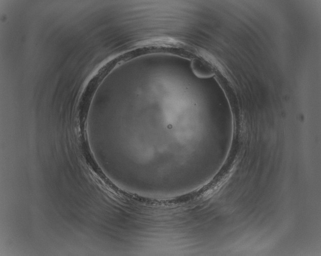 X0000074340923200608251347