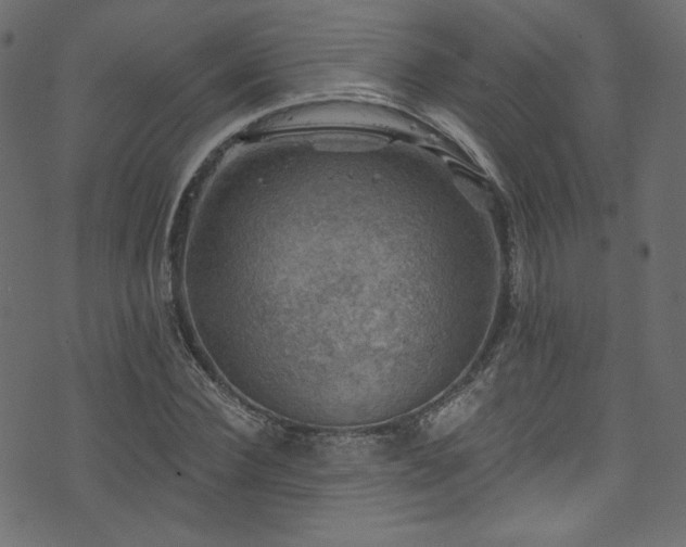 X0000074340924200608251347