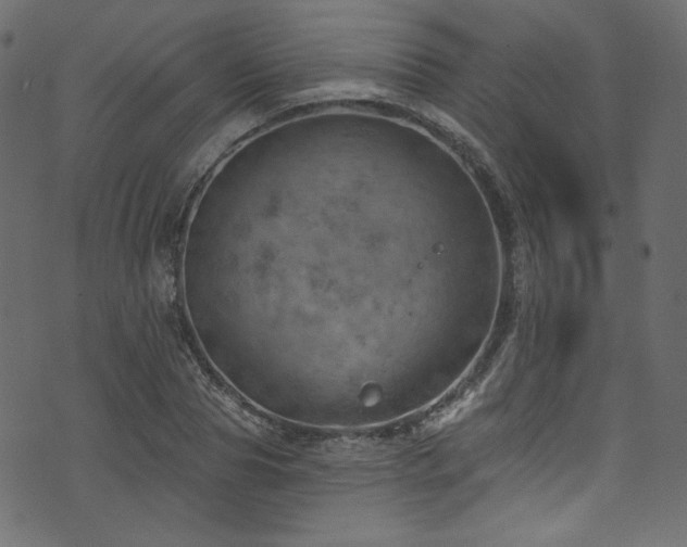 X0000074340929200608251347