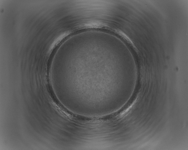 X0000074340930200608251347