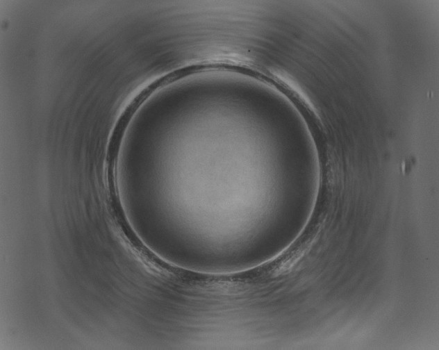 X0000074340932200608251347