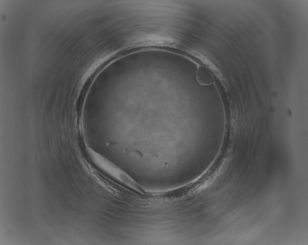 X0000074340933200608251347