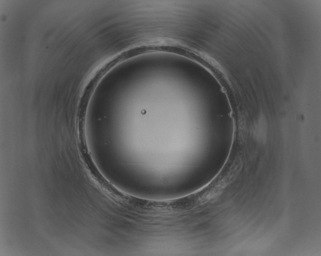 X0000074340935200608251347