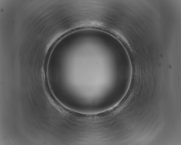 X0000074340936200608251347