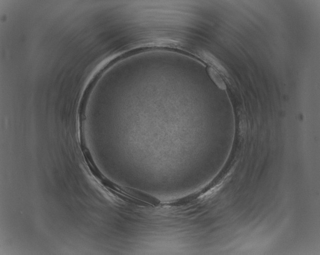 X0000074340940200608251347