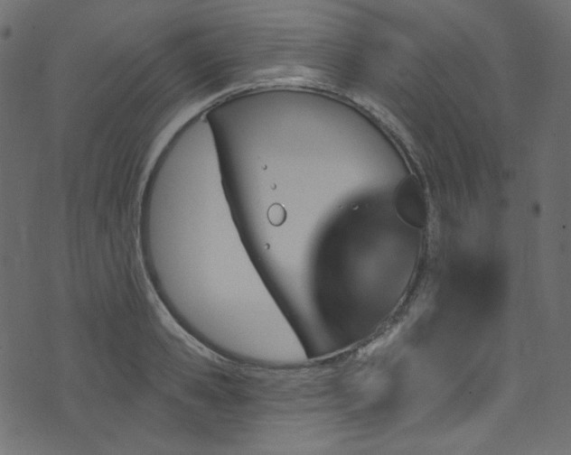 X0000074340941200608251347