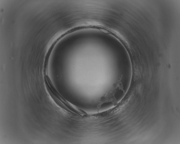 X0000074340943200608251347