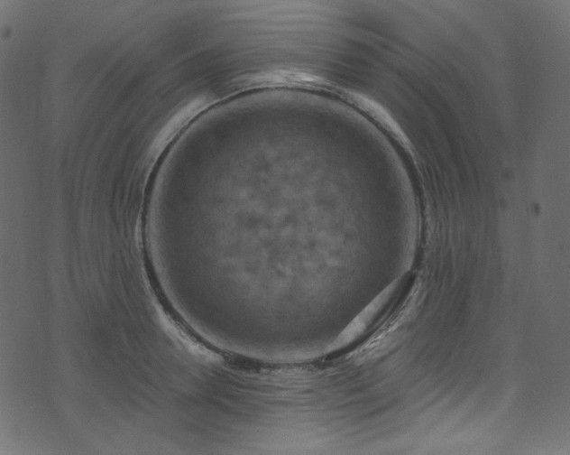 X0000074340946200608251347