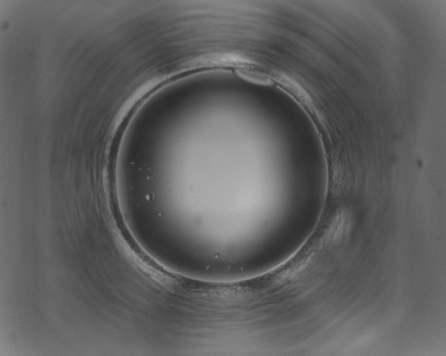 X0000074340947200608251347