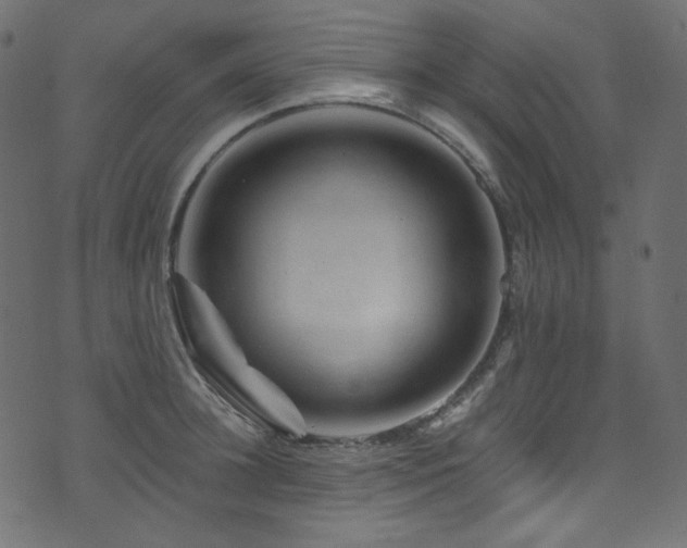 X0000074340948200608251347