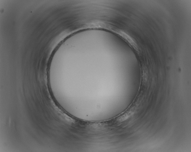 X0000074340950200608251347