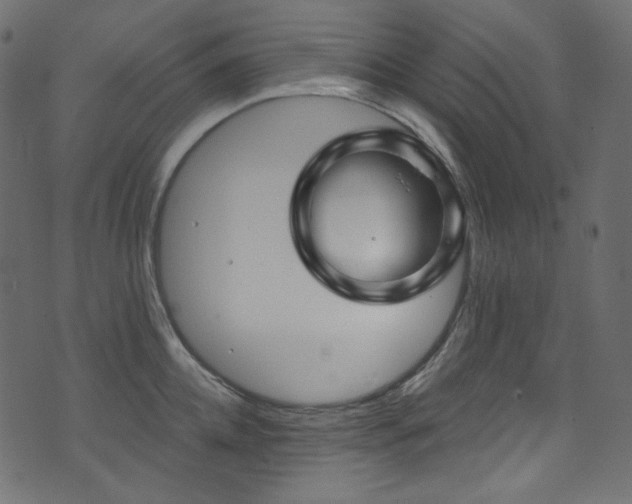 X0000074340952200608251347