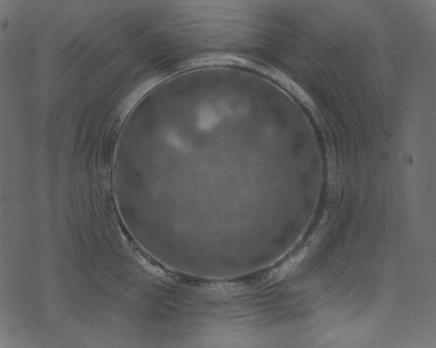 X0000074340953200608251347