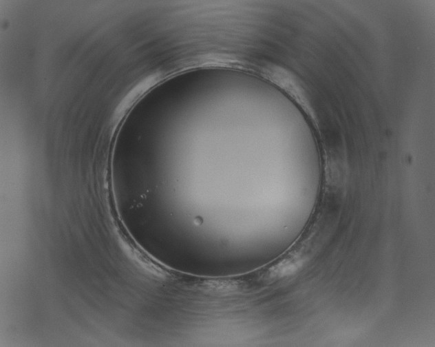 X0000074340954200608251347