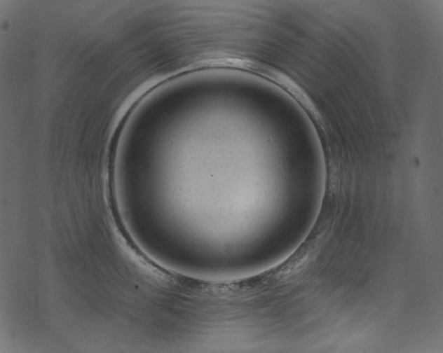 X0000074340955200608251347