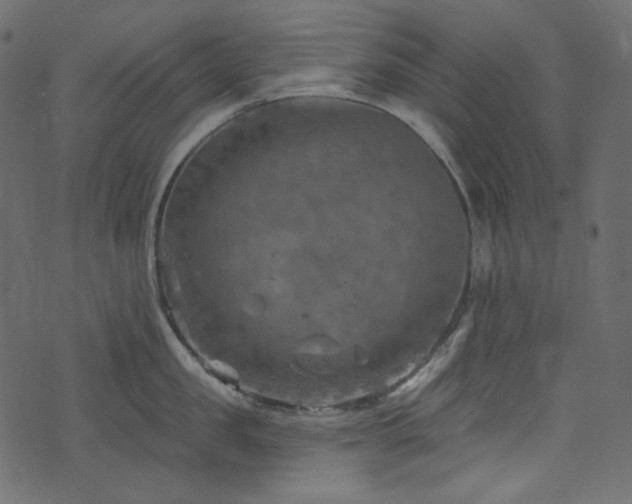 X0000074340957200608251347