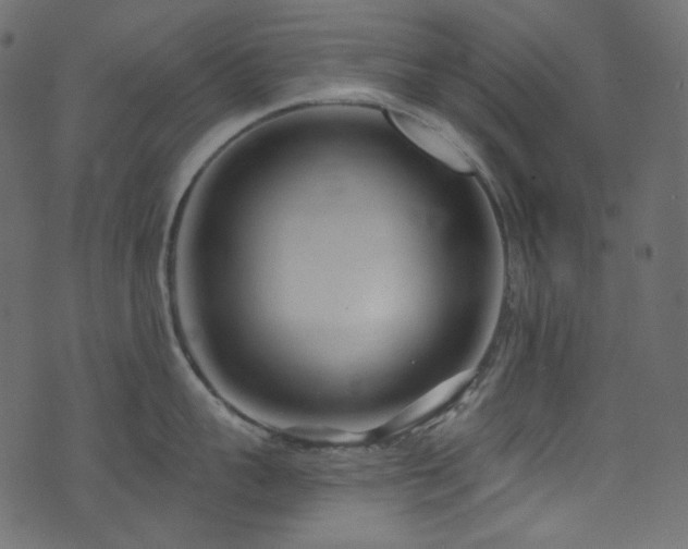 X0000074340959200608251348