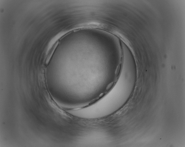 X0000074340960200608251348