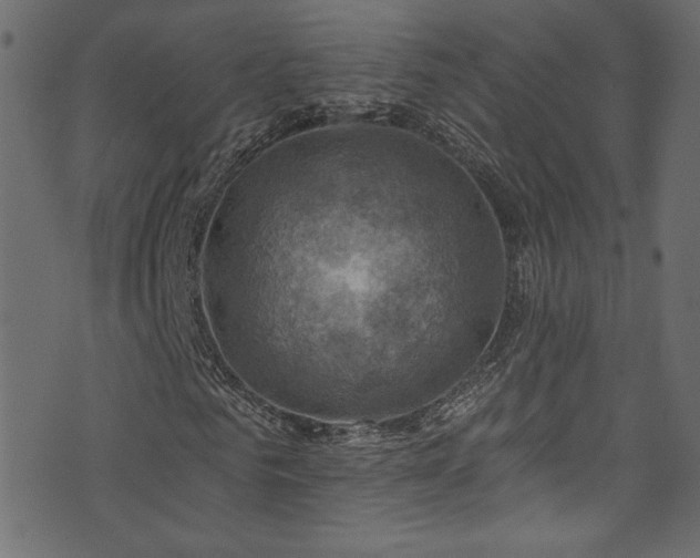 X0000074340961200608251347