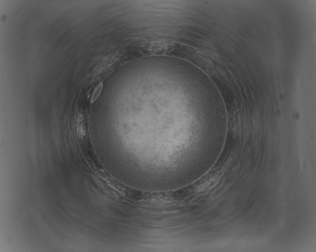 X0000074340962200608251347