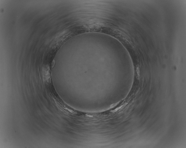 X0000074340963200608251347