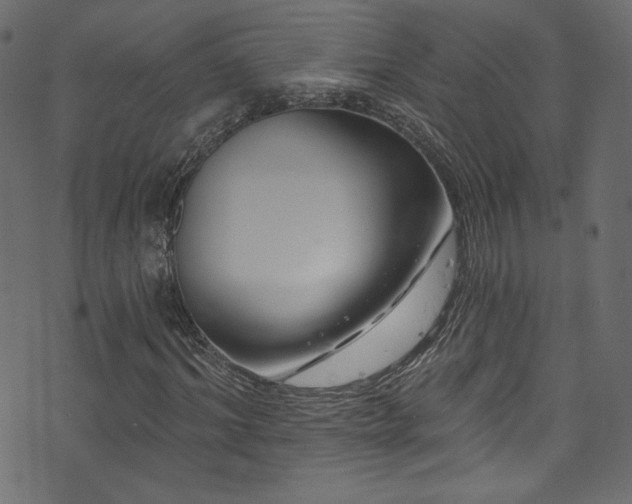 X0000074340964200608251347