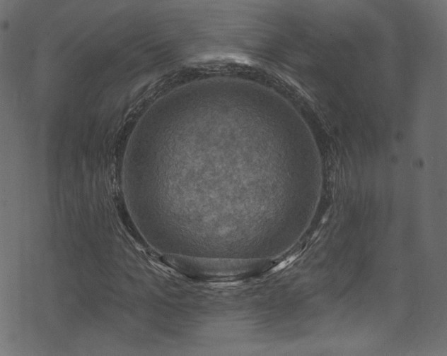 X0000074340965200608251347