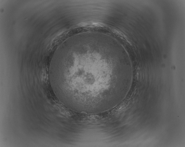 X0000074340966200608251347