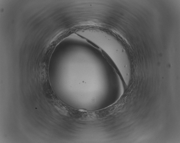 X0000074340968200608251347