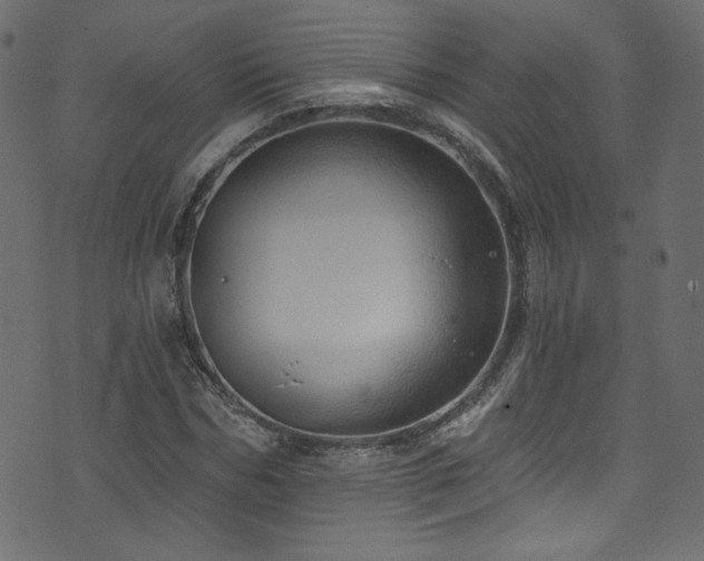 X0000074340970200608251347