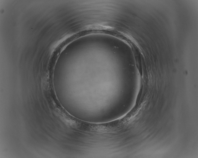 X0000074340971200608251347