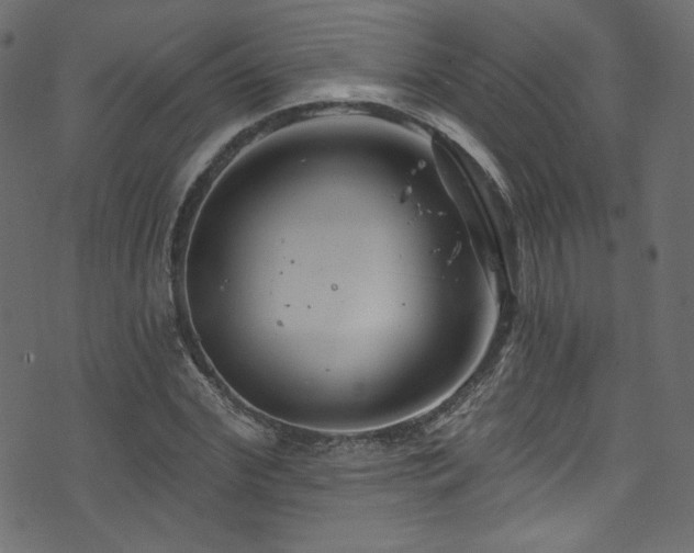 X0000074340972200608251347